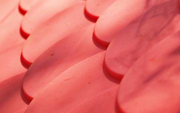 Rafborough plastic roof costs