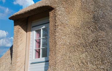 Rafborough thatch roof disadvantages