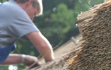 professional Rafborough thatchers